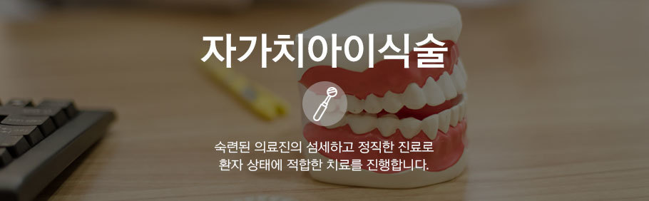 이미지명